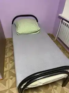 Медведь - 1