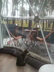 Арский - 45