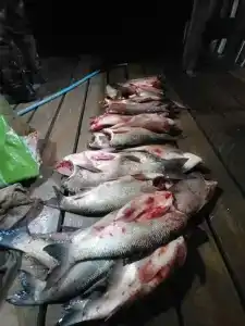 Рыбацкий приют - 23