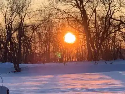 Чардым-Дубрава - 16