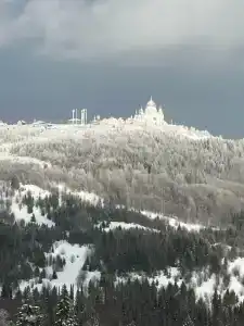 Белогорье - 12