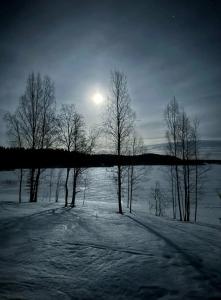 Jakoniemi village - 17