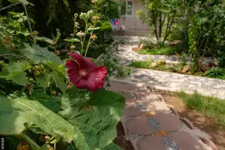 Солнышко - 11