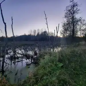 Раздобарино - 49