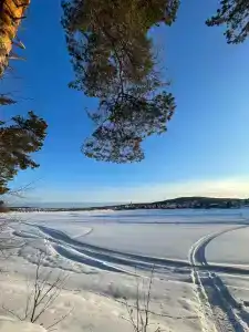 Дача в соснах - 12