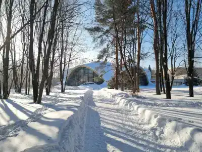Березки - 49