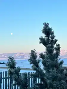 Дом Горчакова - 16