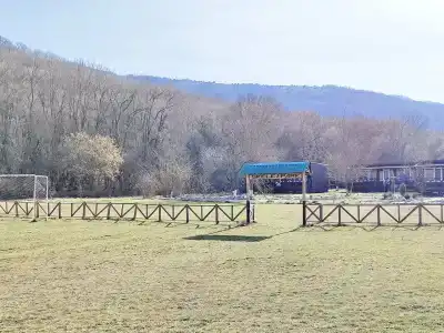 Скелепарк - 24