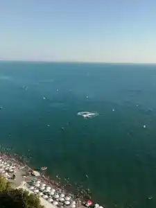 Валео - 44