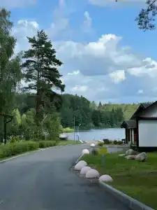 Губкинец - 62