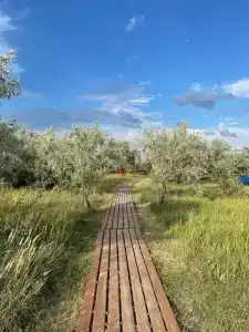Бухта Удачи - 47