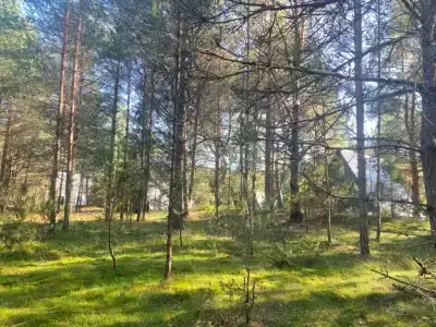 Тишина - 4
