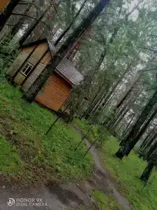 Сибирская Жемчужина - 44