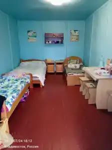 Дельфин - 24