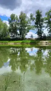 Усадьба - 21