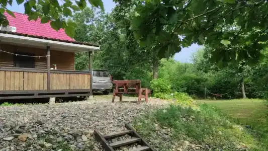 Заповедная - 2