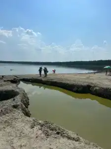 Лесное озеро - 2
