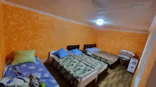 Тюльпан - 3