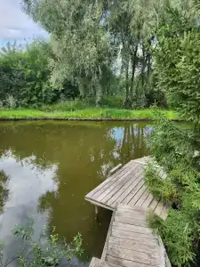 У Борисыча - 34