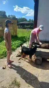 Rayok Barn - 29