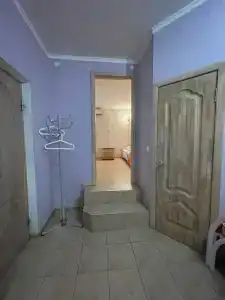 Аир - 43