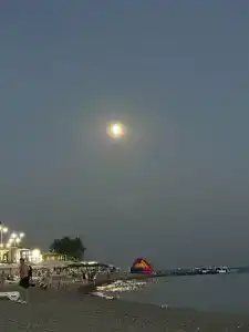 Черномор - 56