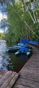 Чайка - 1