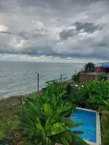 Фламинго - 81