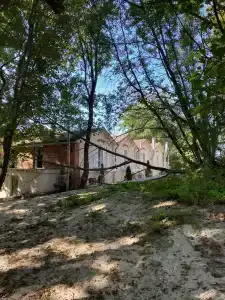 Золотые пески - 62