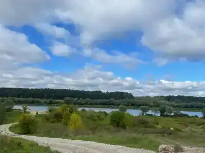 Березовая роща - 49