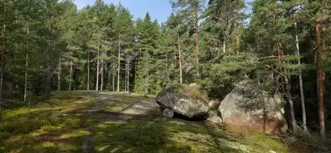 Ravansaari - 91