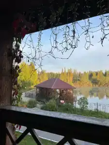 Серебряный рожок - 11