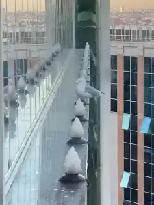 Titanic City Taksim - 8