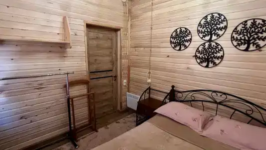 Багира - 19