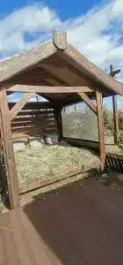 Поплавок - 99