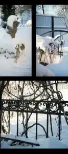 Стархаус - 8