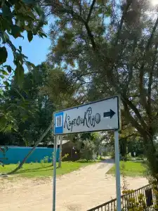 КартошКино - 28