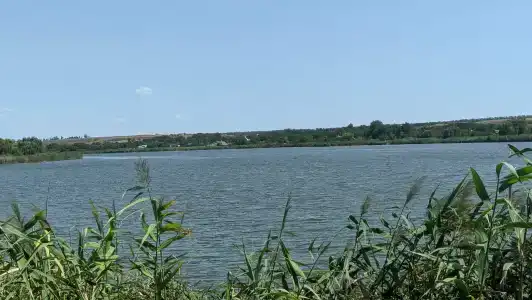 Liva Villa - 76