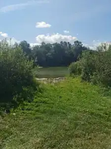 Выродово-Клуб - 19