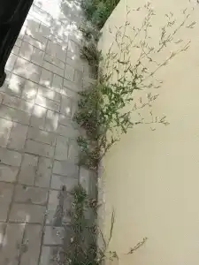 Рыцарский - 18