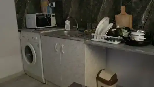 Инжир - 9