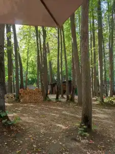 Монте-Карло - 13