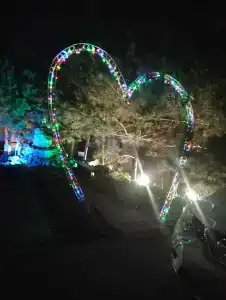 Сокольники - 31