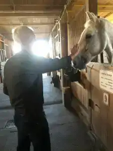 Конный Двор в Пржевальском - 67