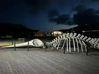 В центре старой Териберки - 19