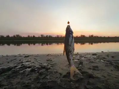 Пристань Гари - 8