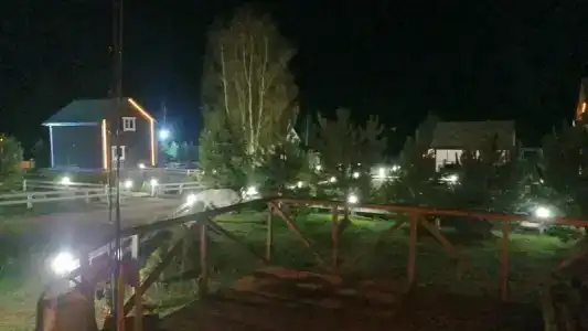 Медведица - 18