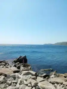 Морской бриз в Шепалово - 35