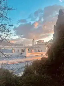 Хофмаршал - 15