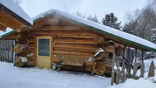 У Борисыча - 100